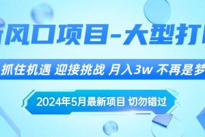 （10597期）2024年5月最新风口项目，抓住机遇，迎接挑战，月入3w+，不再是梦