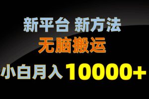 （10605期）新平台新方法，无脑搬运，月赚10000+，小白轻松上手不动脑