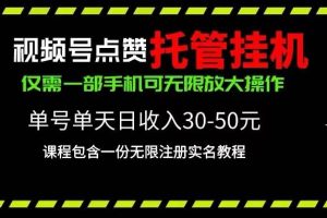 （10644期）视频号点赞托管挂机，单号单天利润30~50，一部手机无限放大（附带无限…