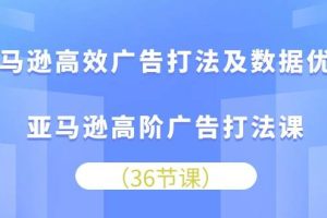 （10649期）亚马逊 高效广告打法及数据优化，亚马逊高阶广告打法课（36节）