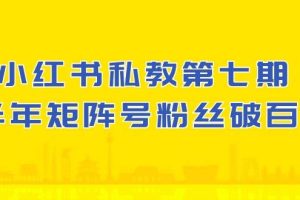 (10650期）小红书-私教第七期，小红书90天涨粉18w，1周涨粉破万 半年矩阵号粉丝破百万