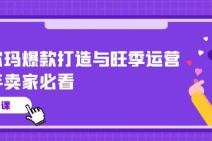 （10660期）沃尔玛 爆款打造与旺季运营，新手卖家必看（11节视频课）