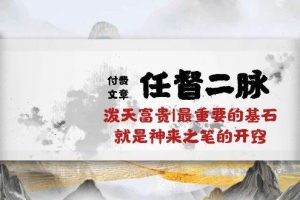 某公众号付费文章《任督二脉泼天富贵|最重要的基石就是神来之笔的开窍|万字》