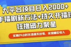 （10694期）快手24小时无人直播，真正实现睡后收益