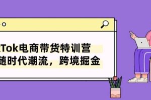 （10730期）TikTok电商带货特训营，跟随时代潮流，跨境掘金（8节课）