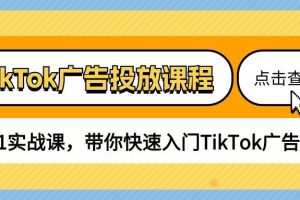 （10731期）TikTok广告投放课程，从0-1实战课，带你快速入门TikTok广告投放（30节课）