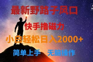 （10754期）最新风口！快手撸磁力，野路子，小白无脑操作日入2000+