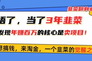 （10759期）悟了，当了3年韭菜，才发现网赚圈年赚100万的核心是卖项目，含泪分享！