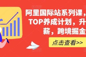 阿里国际站系列课，运营TOP养成计划，升职加薪，跨境掘金