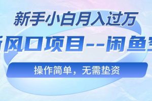 （10767期）最新风口项目—闲鱼空调，新手小白月入过万，操作简单，无需垫资