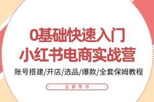 0基础快速入门小红书电商实战营：账号搭建/开店/选品/爆款/全套保姆教程