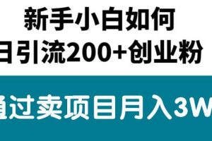 （10843期）新手小白日引流200+创业粉,通过卖项目月入3W+