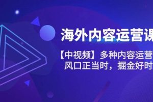 海外内容运营课【中视频】多种内容运营玩法 风口正当时 掘金好时机（101节）