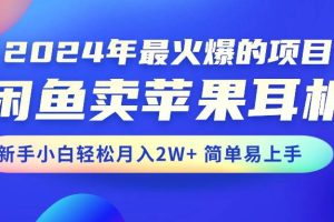 （10863期）2024年最火爆的项目，闲鱼卖苹果耳机，新手小白轻松月入2W+简单易上手