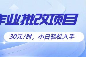 作业批改项目30元/时，简单小白轻松入手，非常适合兼职