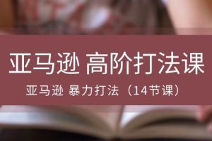 （10870期）亚马逊 高阶打法课，亚马逊 暴力打法（14节课）