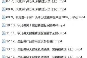 （10871期）大健康 流量 变现2.0：拓高变现 流量/成高客单/低粉高变现/只讲落地实战