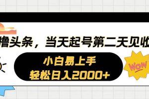 （10884期）AI撸头条，当天起号，第二天见收益。轻松日入2000+