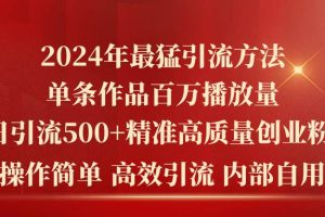 （10920期）2024年最猛暴力引流方法，单条作品百万播放 单日引流500+高质量精准创业粉