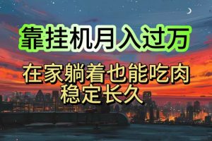 （10921期）挂机项目日入1000+，躺着也能吃肉，适合宝爸宝妈学生党工作室，电脑手…