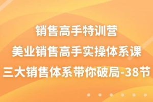 销售高手特训营，美业销售高手实操体系课，三大销售体系带你破局（38节）