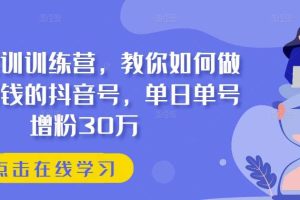 抖音实训训练营，教你如何做一个赚钱的抖音号，单日单号增粉30万