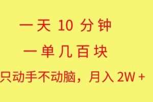 （10974期）一天10 分钟 一单几百块 简单无脑操作 月入2W+教学