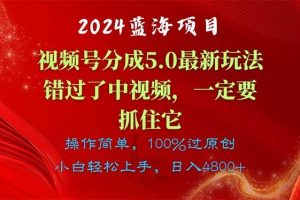 （11032期）2024蓝海项目，视频号分成计划5.0最新玩法，错过了中视频，一定要抓住…