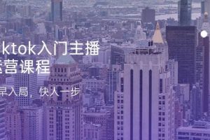 （11045期）Tiktok入门主播运营课程，及早入局，快人一步（11节）