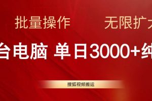 （11064期）搜狐视频搬运，一台电脑单日3000+，批量操作，可无限扩大