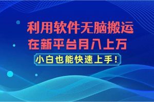 （11078期）利用软件无脑搬运，在新平台月入上万，小白也能快速上手