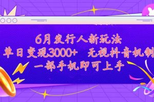 （11092期）发行人计划最新玩法，单日变现3000+，简单好上手，内容比较干货，看完…