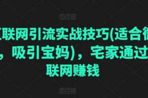 互联网引流实战技巧(适合微商，吸引宝妈)，宅家通过互联网赚钱