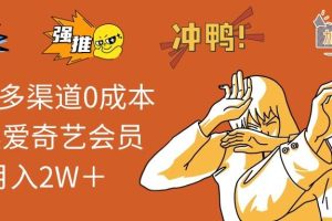 （11105期）2024多渠道0成本售卖爱奇艺会员月入2W＋