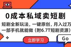 （11118期）短剧最新玩法，0成本私域卖短剧，会复制粘贴即可月入过万，一部手机即…