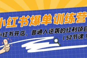 （11134期）小红书爆单训练营，小红书开店，普通人逆袭的红利项目（52节课）