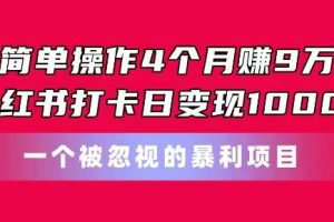 简单操作4个月赚9w，小红书打卡日变现1k，一个被忽视的暴力项目【揭秘】