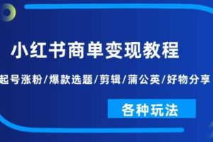 小红书商单变现教程：起号涨粉/爆款选题/剪辑/蒲公英/好物分享/各种玩法