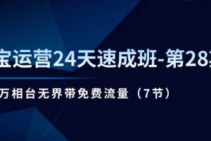 （11182期）淘宝运营24天速成班-第28期：最新万相台无界带免费流量（7节）