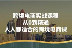 （11183期）跨境电商实战课程：从0到精通，人人都适合的跨境电商课（14节课）