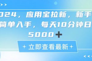 （11236期）2024应用宝拉新，真正的蓝海项目，每天动动手指，日入5000+