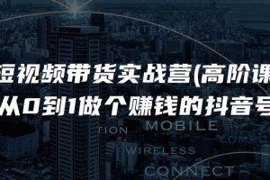 （11253期）短视频带货实战营(高阶课)，从0到1做个赚钱的抖音号（17节课）