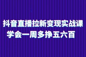 （11254期）抖音直播拉新变现实操课，学会一周多挣五六百（15节课）