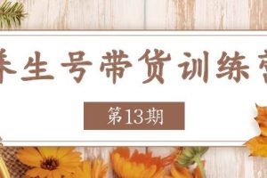 养生号带货训练营【第13期】收益更稳定的玩法，让你带货收益爆炸