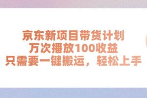 （11300期）京东新项目带货计划，万次播放100收益，只需要一键搬运，轻松上手