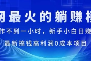 （11307期）全网最火的躺赚模式，每天操作不到一小时，新手小白日赚1500+，最新搞…