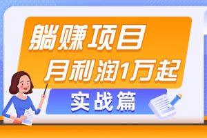 （11322期）躺赚副业项目，月利润1万起，当天见收益，实战篇