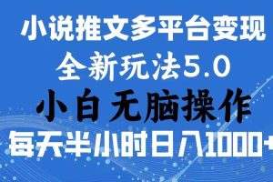 （11323期）2024年6月份一件分发加持小说推文暴力玩法 新手小白无脑操作日入1000+ …