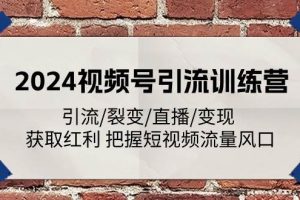 （11337期）2024视频号引流训练营：引流/裂变/直播/变现 获取红利 把握短视频流量风口