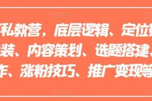 小红书私教营，底层逻辑、定位赛道、账号包装、内容策划、选题搭建、爆款创作、涨粉技巧、推广变现等等